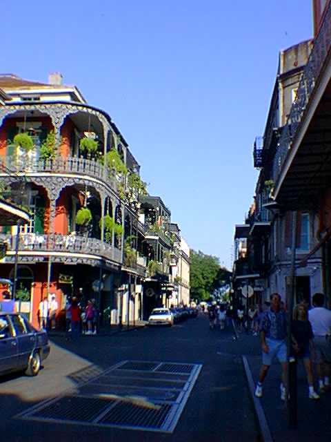Pretty iron balconies in the French Quarter